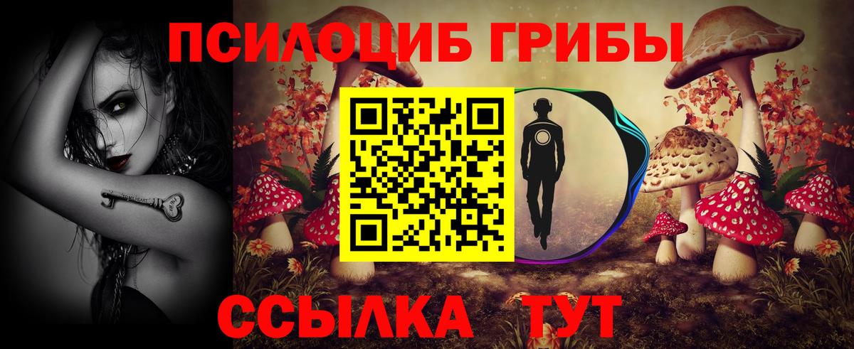 Псилоцибиновые грибы прущие грибы Нижний Тагил