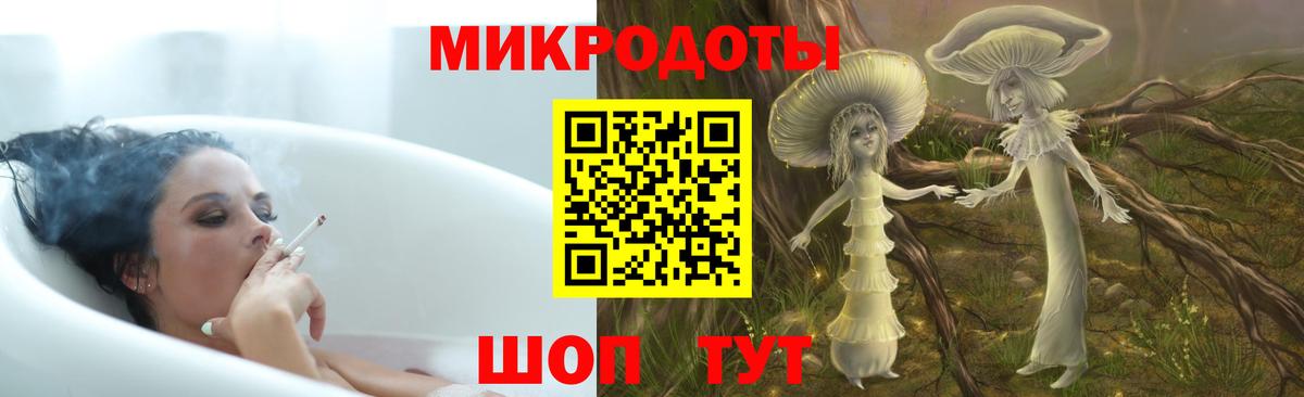 Псилоцибиновые грибы Psilocybine cubensis  Вход с VPN  Нижний Тагил 